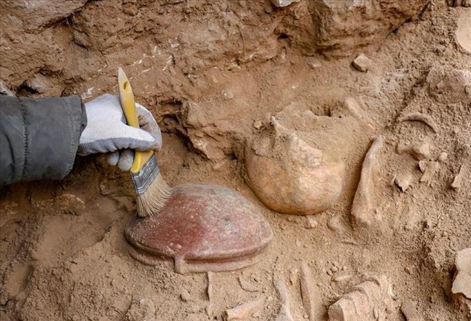 Traces of 'brain surgery' are found on skeletons in necropolis area in eastern Türkiye