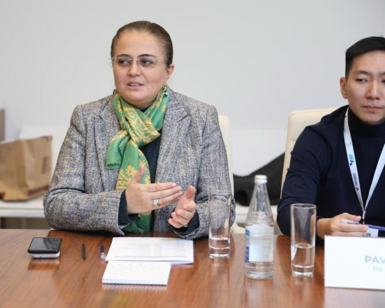 Azerbaijan Animation Association discuss establishment of "Turkish Animation Network"