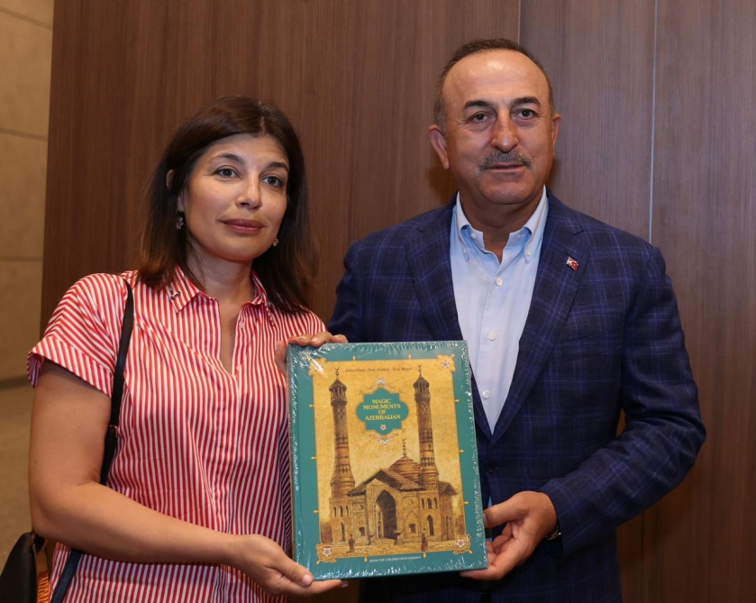 President of International Turkic Culture and Heritage Foundation meets with Turkish Foreign Minister