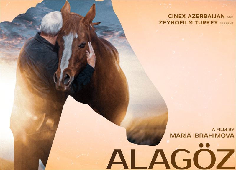 "Alagoz" reaches final of film projects contest in Ukraine