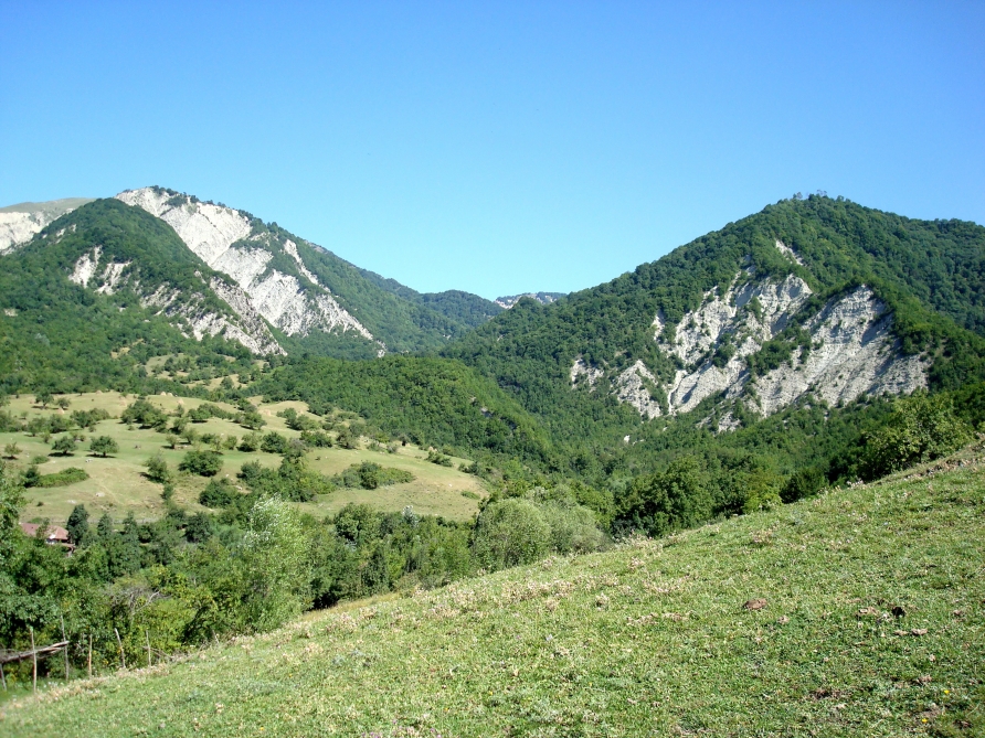 Ismayilli State Reserve- a dwelling place for endangered species