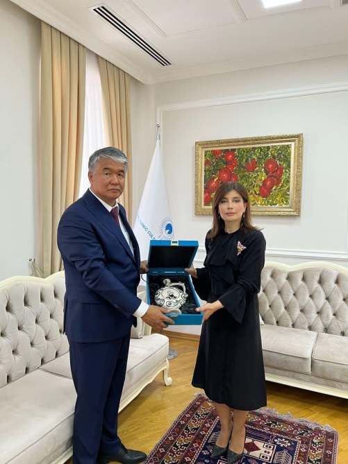 President of International Turkic Culture and Heritage Foundation meets with newly elected Secretary-General of TURKSOY Sultan Raev